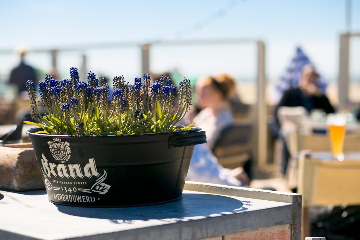 The Fat Mermaid brand op de tap