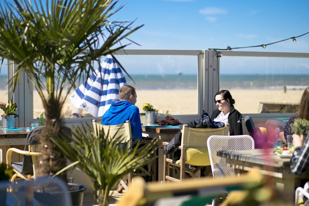 The Fat Mermaid palm tree and plants