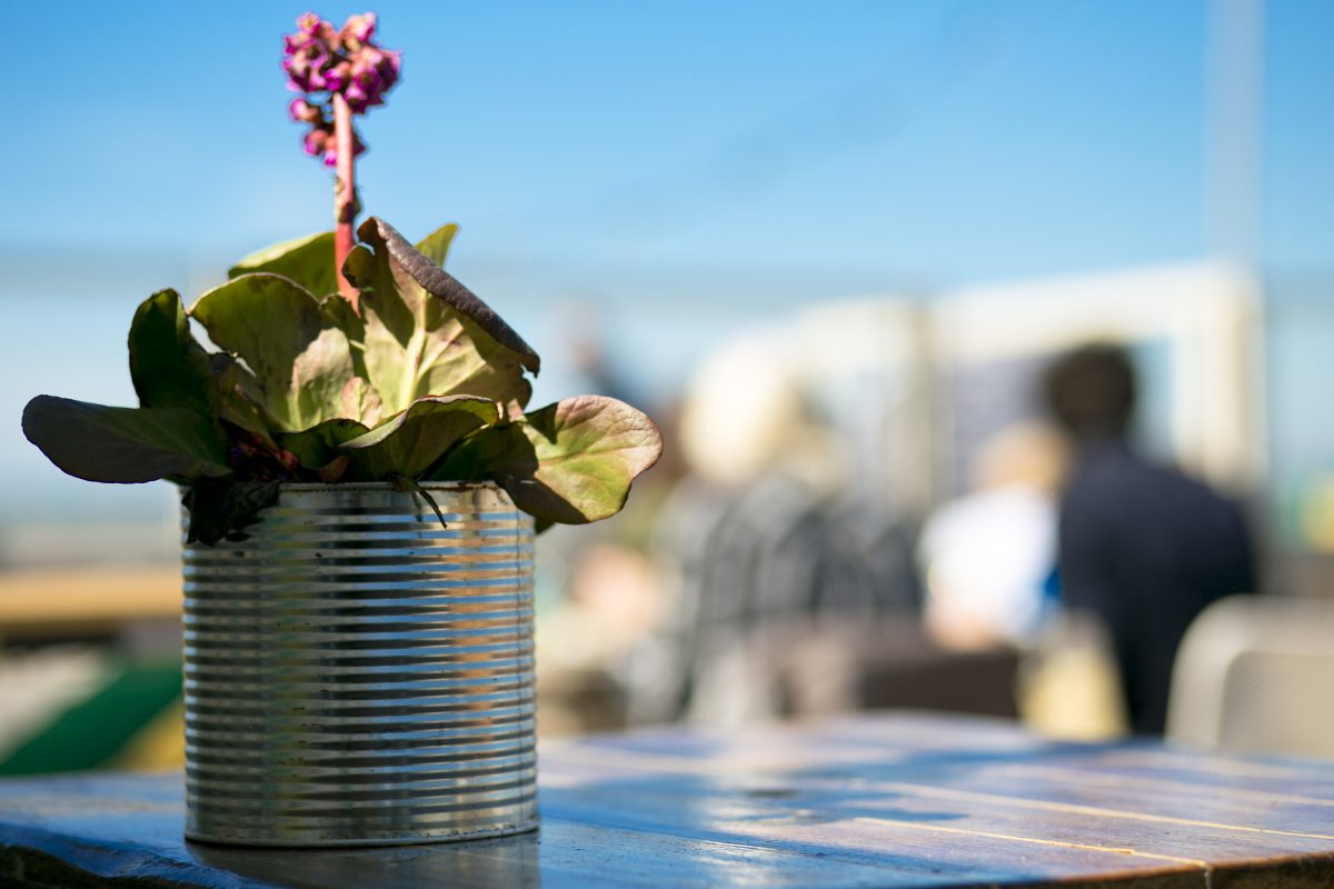 The Fat Mermaid flower on table