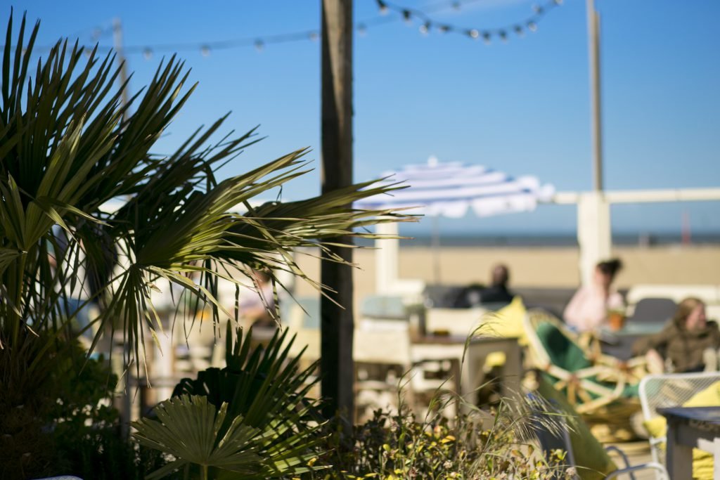 The Fat Mermaid varen en planten