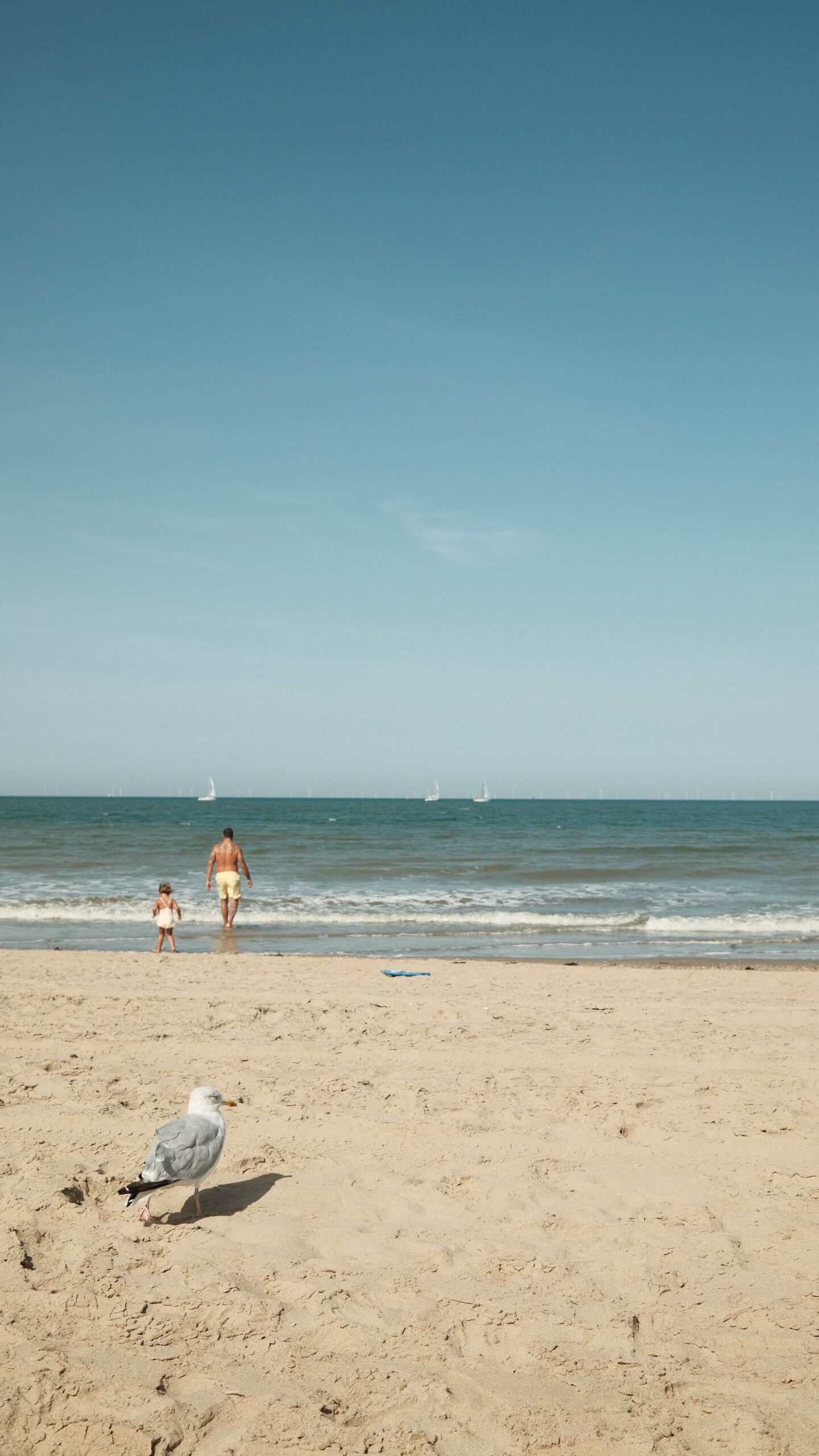 LAST SUMMER DAYS